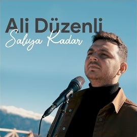 Ali Düzenli Salıya Kadar