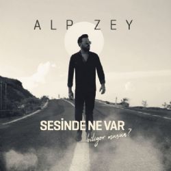 Alp Zey Sesinde Ne Var Biliyor Musun