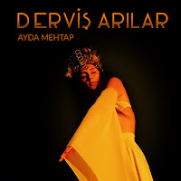 Ayda Mehtap Derviş Arılar