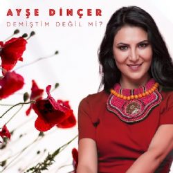 Ayşe Dinçer Demiştim Değil Mi