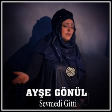 Ayşe Gönül Sevmedi Gitti