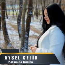 Aysel Çelik Kalemine Kaşına