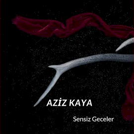 Aziz Kaya Sensiz Geceler