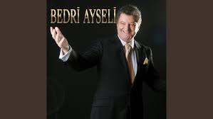 Bedri Ayseli Oy Tigem