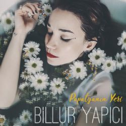 Billur Yapıcı Papatyanın Yeri