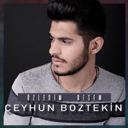 Ceyhun Boztekin Özledim Desem