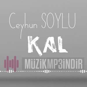 Ceyhun Soylu Kal