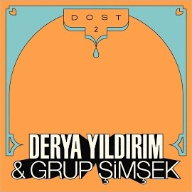 Derya Yıldırım Dost 2