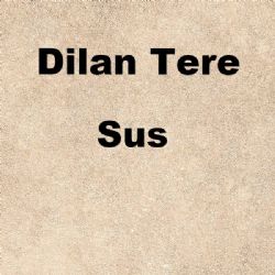 Dilan Tere Sus