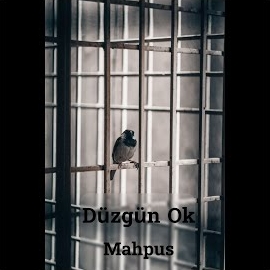 Düzgün Ok Mahpus