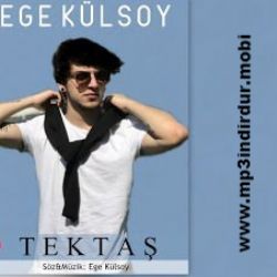 Ege Külsoy Tektaş