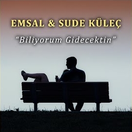 Emsal Biliyorum Gidecektim