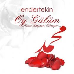 Ender Tekin Oy Gülüm