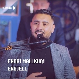 Endri Mallkuqi Zemer