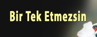 Ersin Ertürk Bir Tek Etmezsin