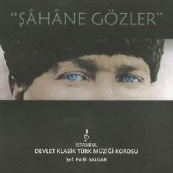 Fatih Salgar Şahane Gözler