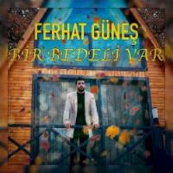 Ferhat Güneş Bir Bedeli Var