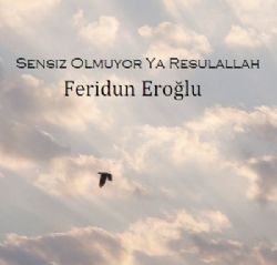 Feridun Eroğlu Sensiz Olmuyor Ya Resulallah