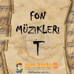 Fon Müzikleri T