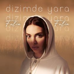 Fulin Dizimde Yara