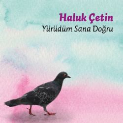 Haluk Çetin Yürüdüm Sana Doğru