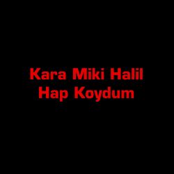 Kara Miki Halil Hap Koydum