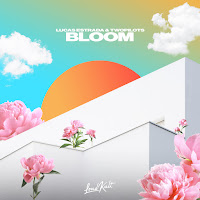 Lucas Estrada Bloom