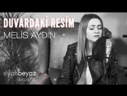 Melis Aydın Duvardaki Resim