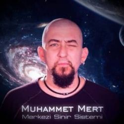 Muhammet Mert Merkezi Sinir Sistemi