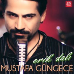 Mustafa Güngece Erik Dalı