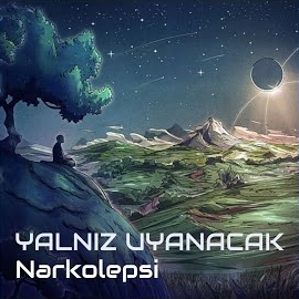 Narkolepsi Yalnız Uyanacak