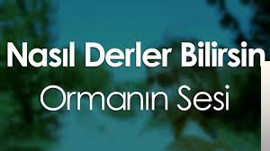 Nasıl Derler Bilirsin Ormanın Sesi