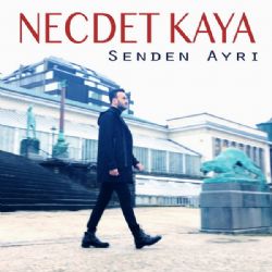 Necdet Kaya Senden Ayrı