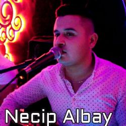 Necip Albay Takvim Yaprağı