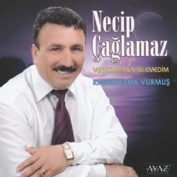 Necip Çağlamaz Vefasızmışsın Bilemedim