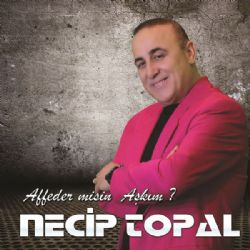 Necip Topal Affedermisin Aşkım