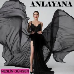 Neslim Güngen Anlayana