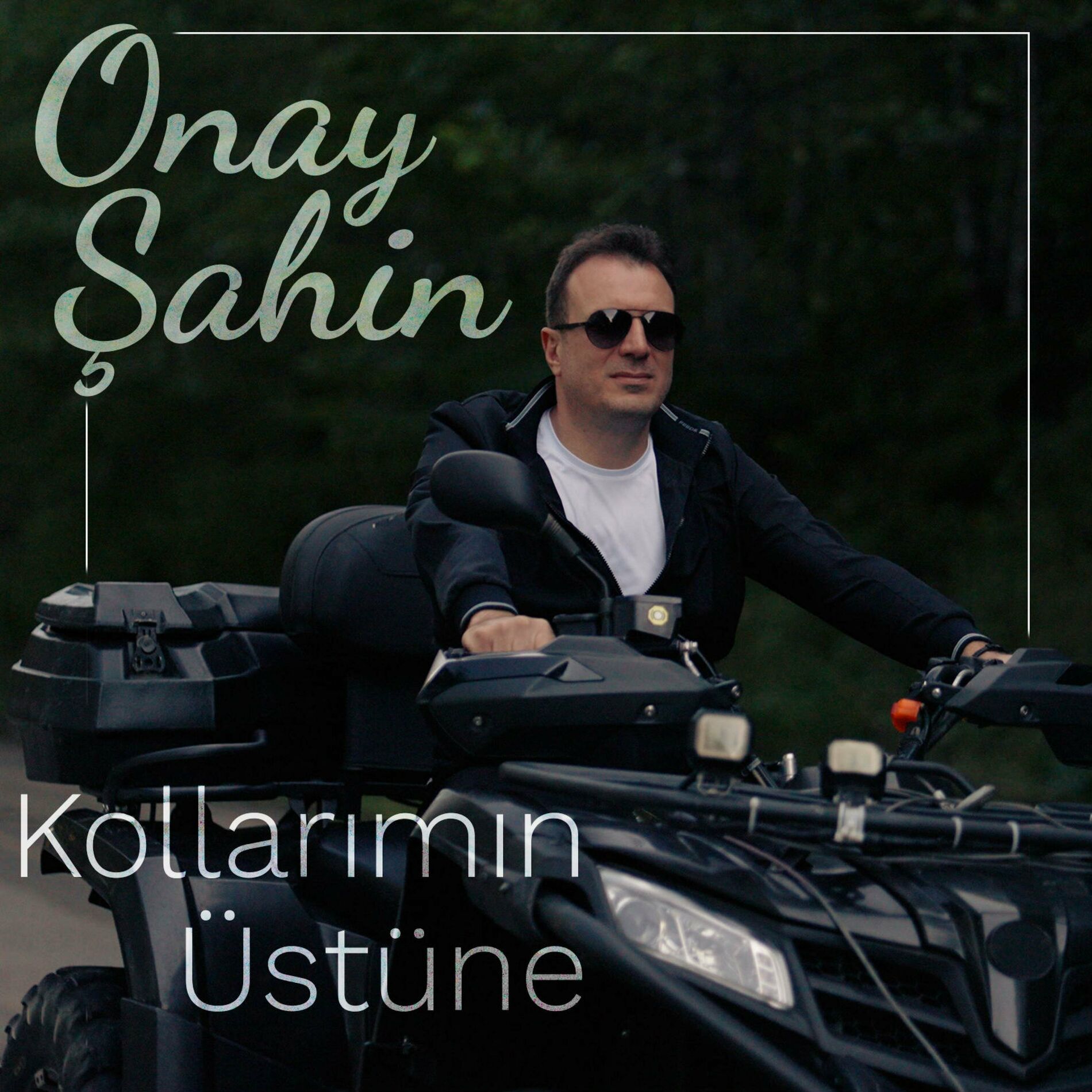 Onay Şahin Kollarımın Üstüne