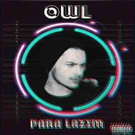 Owl Para Lazım