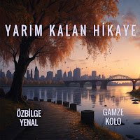 Özbilge Yenal Yarım Kalan Hikaye