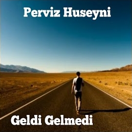 Perviz Hüseyni Geldi Gelmedi