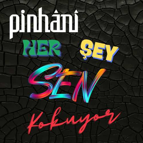 Pinhani Her Şey Sen Kokuyor