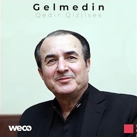 Qedir Qızılses Gelmedin