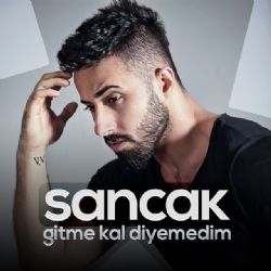 Sancak Gitme Kal Diyemedim