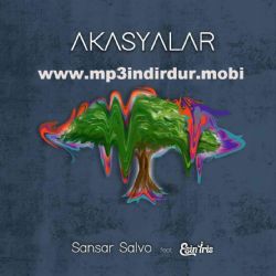 Sansar Salvo Akasyalar