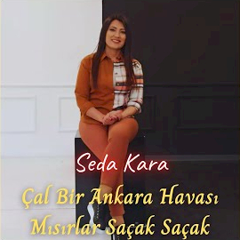 Seda Kara Çal Bir Ankara Havası, Mısırlar Saçak Saçak