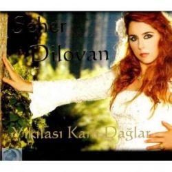 Seher Dilovan Yıkılası Karlı Dağlar