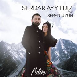 Serdar Ayyıldız Pulim