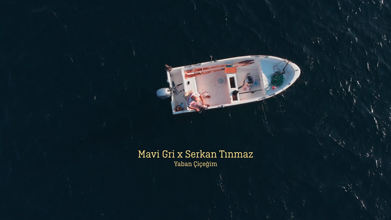 Serkan Tınmaz Yaban Çiçeğim