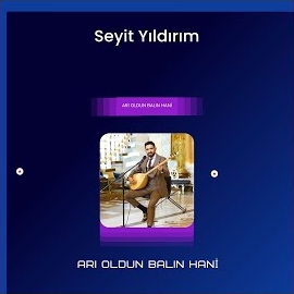 Seyit Yıldırım Arı Oldun Balın Hani